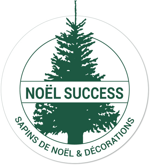 Noel Success