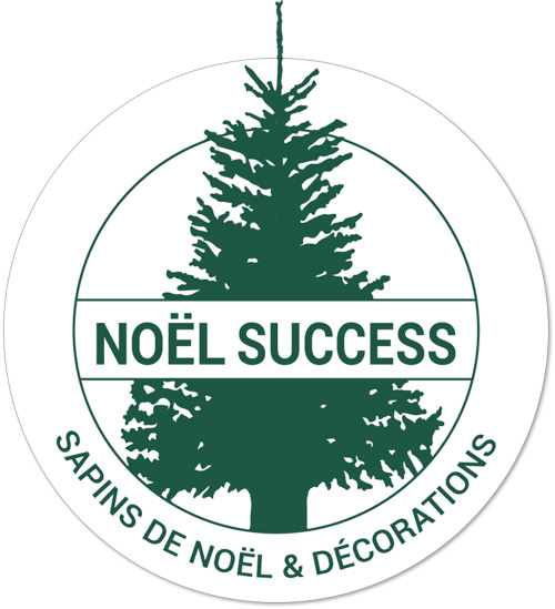 Noel Sucess